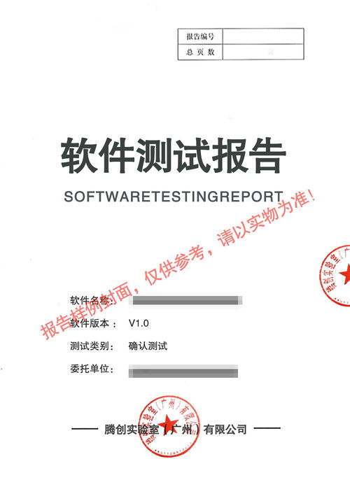 2024年天津市首版次软件 软件测试报告与测试服务的关键支撑